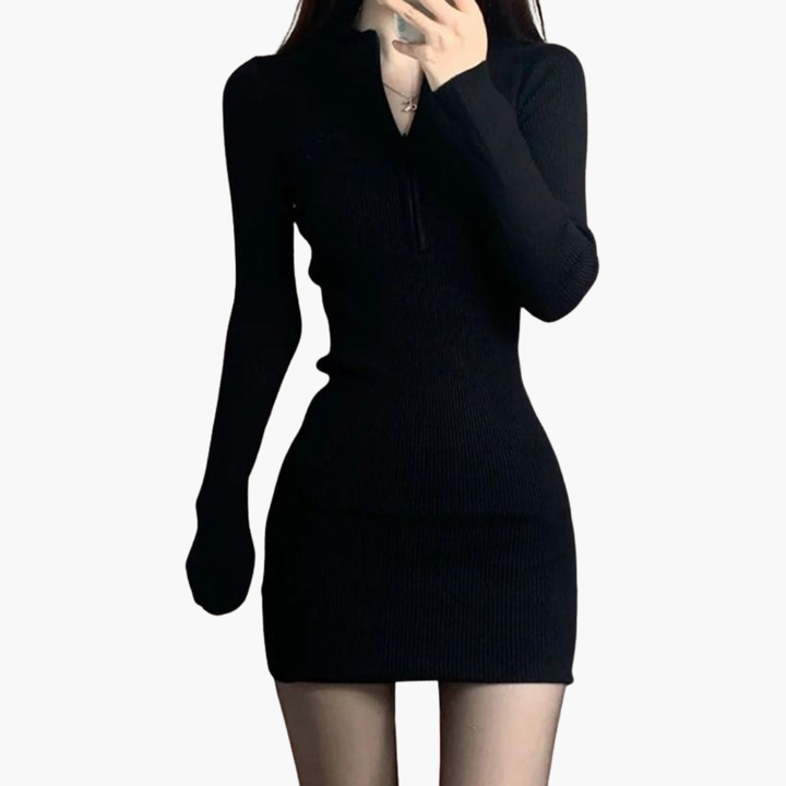 Women's Knit Dress Long Sleeves High Neck | Altivaro