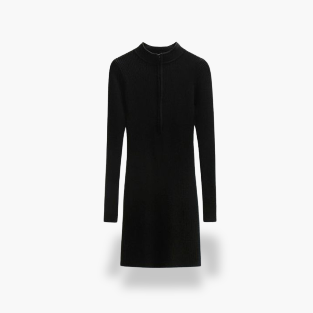 Women's Knit Dress Long Sleeves High Neck | Altivaro