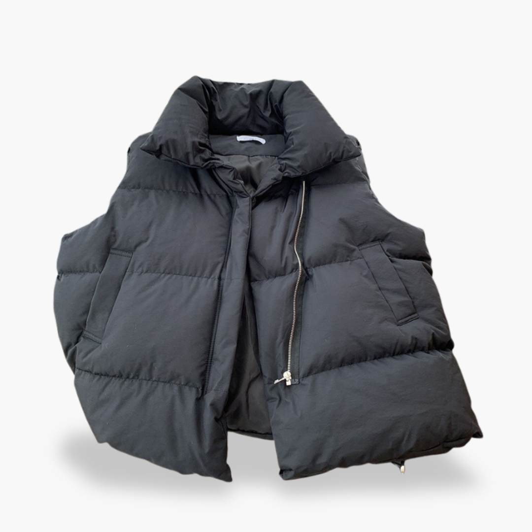 Gilet Piumino Uomo Imbottito Senza Maniche Invernale Casual | Altivaro