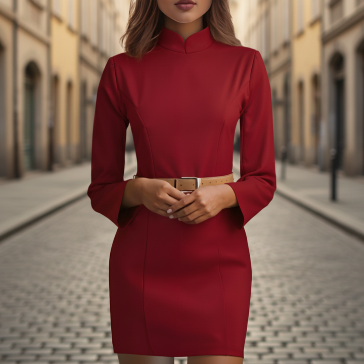 Women's Fitted Dress High Neck Long Sleeves | Altivaro